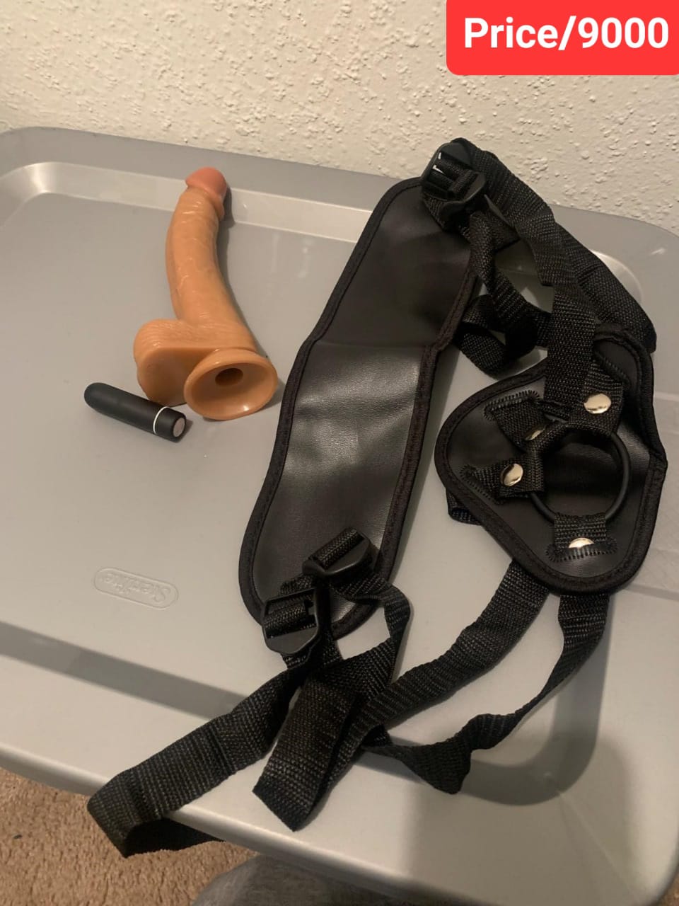 WhatsApp Image 2026-01-31 at 1.18.58 PM